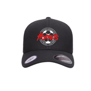 Flexfit Hornets Baseball Hat