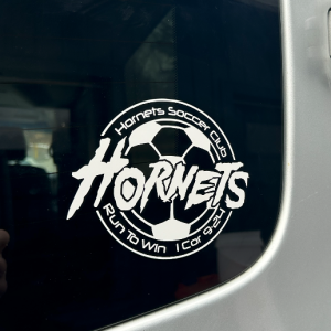 Hornets Vinyl Decal